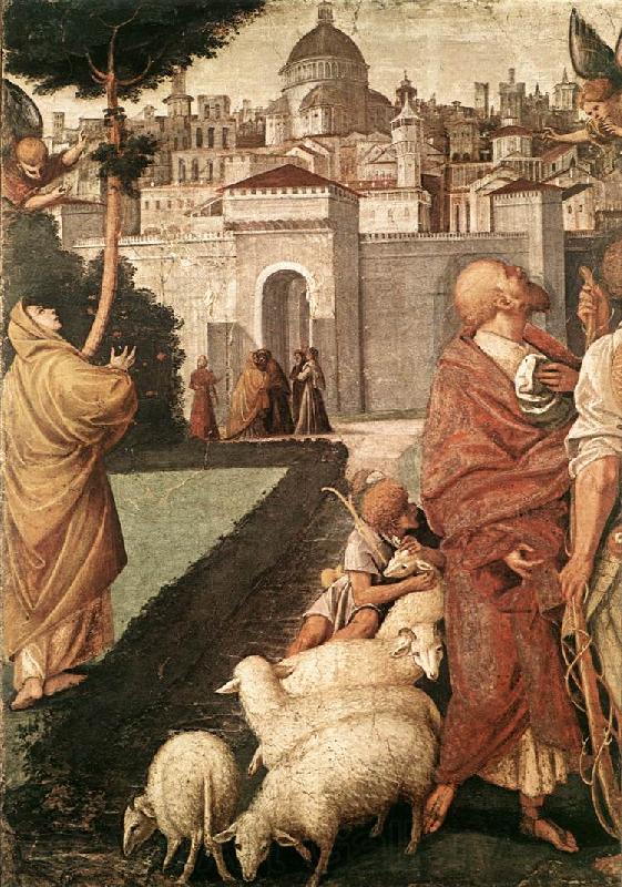 FERRARI, Gaudenzio The Annunciation to Joachim and Anna dfg Spain oil painting art